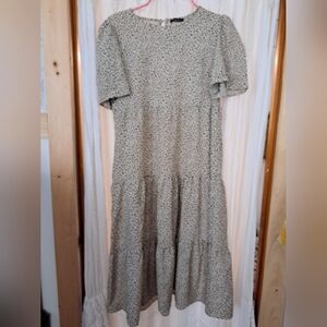 Elegant Women's Cream Dress